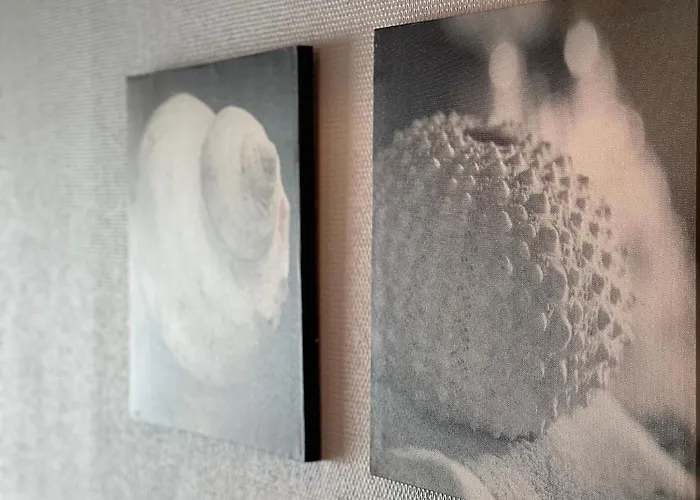 Appartement Sunbeach *